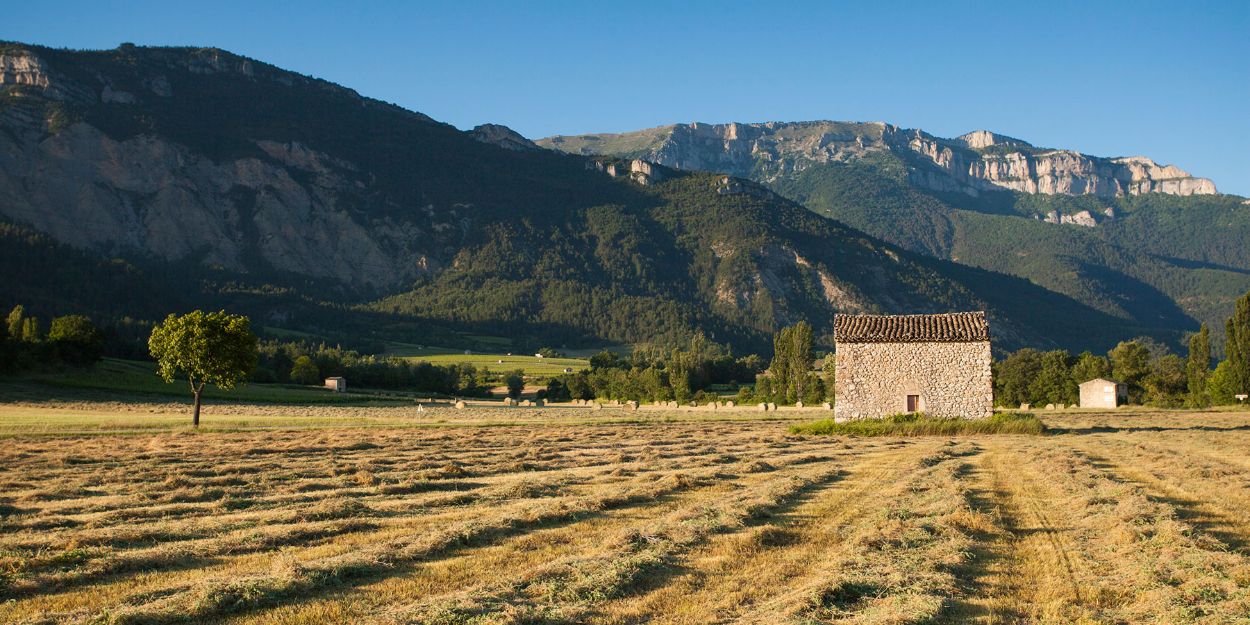 Fenaison dans le Diois