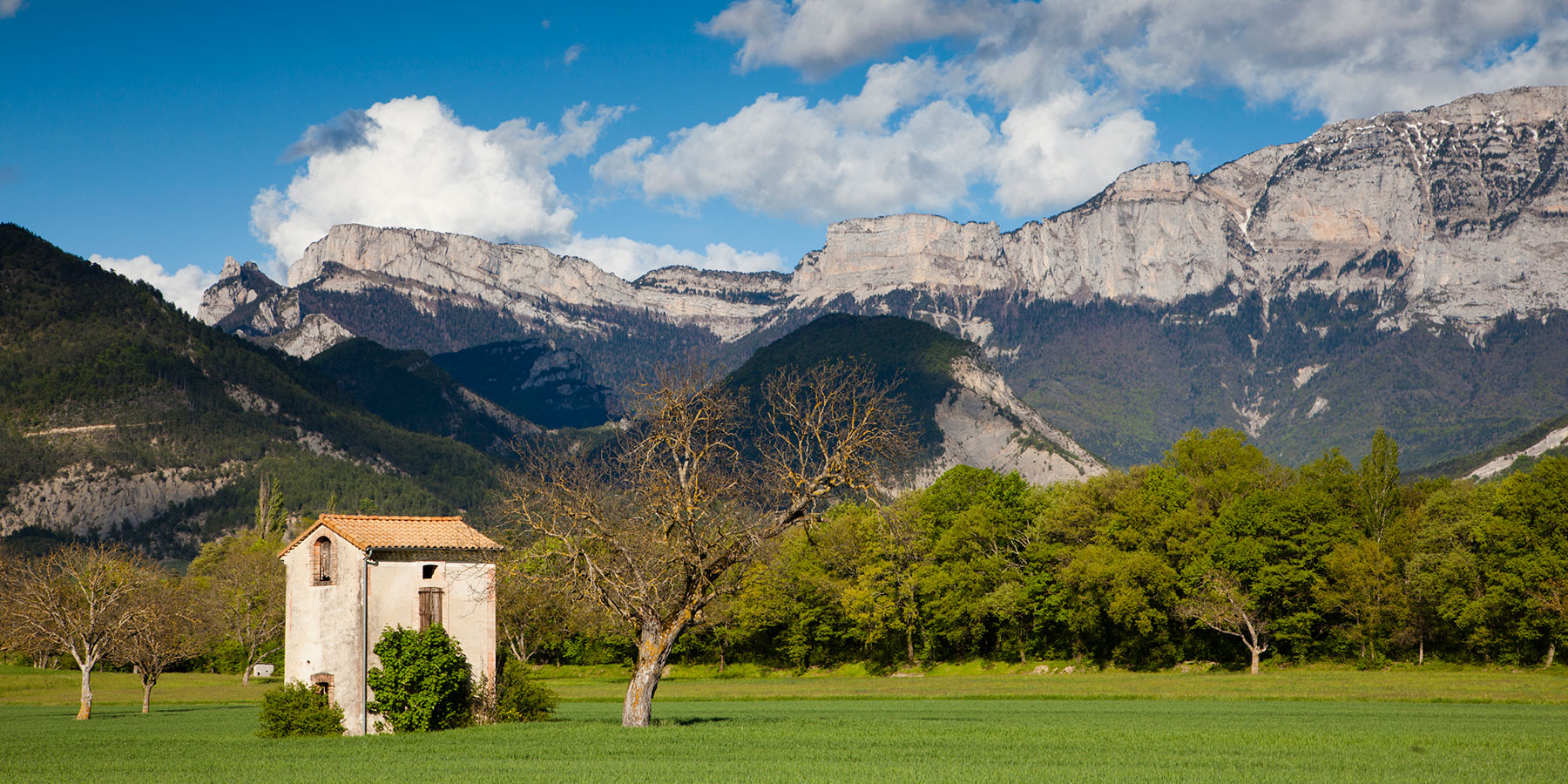 Noyers dans le Diois